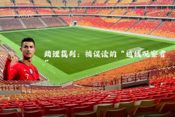 助理裁判:被误读的“边线观察者”